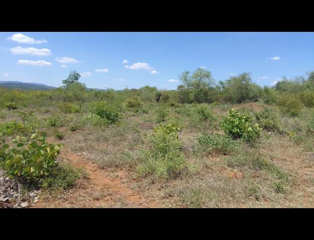 4,000M² VACANT LAND FOR SALE IN THOHOYANDOU RURAL